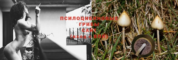 МДМА Бородино