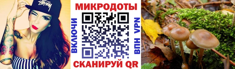 где купить наркоту Электрогорск Галлюциногенные грибы мухоморы